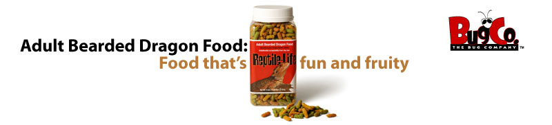 Adult Bearded Dragon Food: Food that's fun and fruity