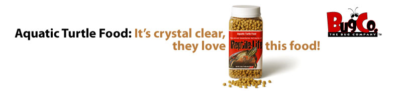 Aquatic Turtle Food: It's crystal clear, they love this food!