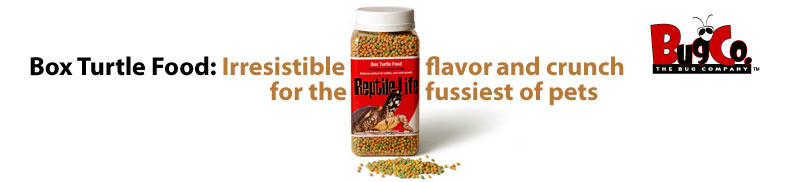 Box Turtle Food: Irresistible flavor and crunch for the fussiest of pets.