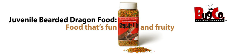 Juvenile Bearded Dragon Food: Food that's fun and fruity