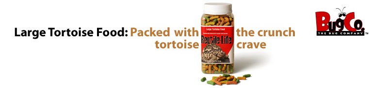 Large Tortoise Food: Packed with the crunch tortoises crave