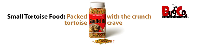 Small Tortoise Food: Packed with the crunch tortoises crave