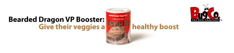 Bearded Dragon Veggie Plus Booster: Give their veggies a healthy boost