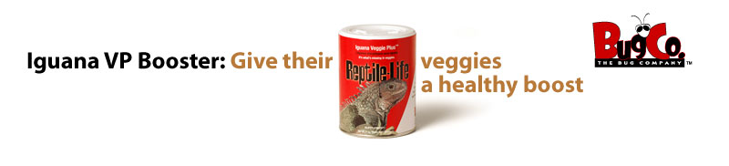 Iguana Veggie Plus Booster: Give their veggies a healthy boost