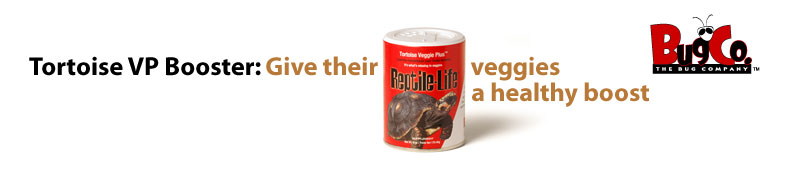 Tortoise Veggie Plus Booster: Give their veggies a healthy boost